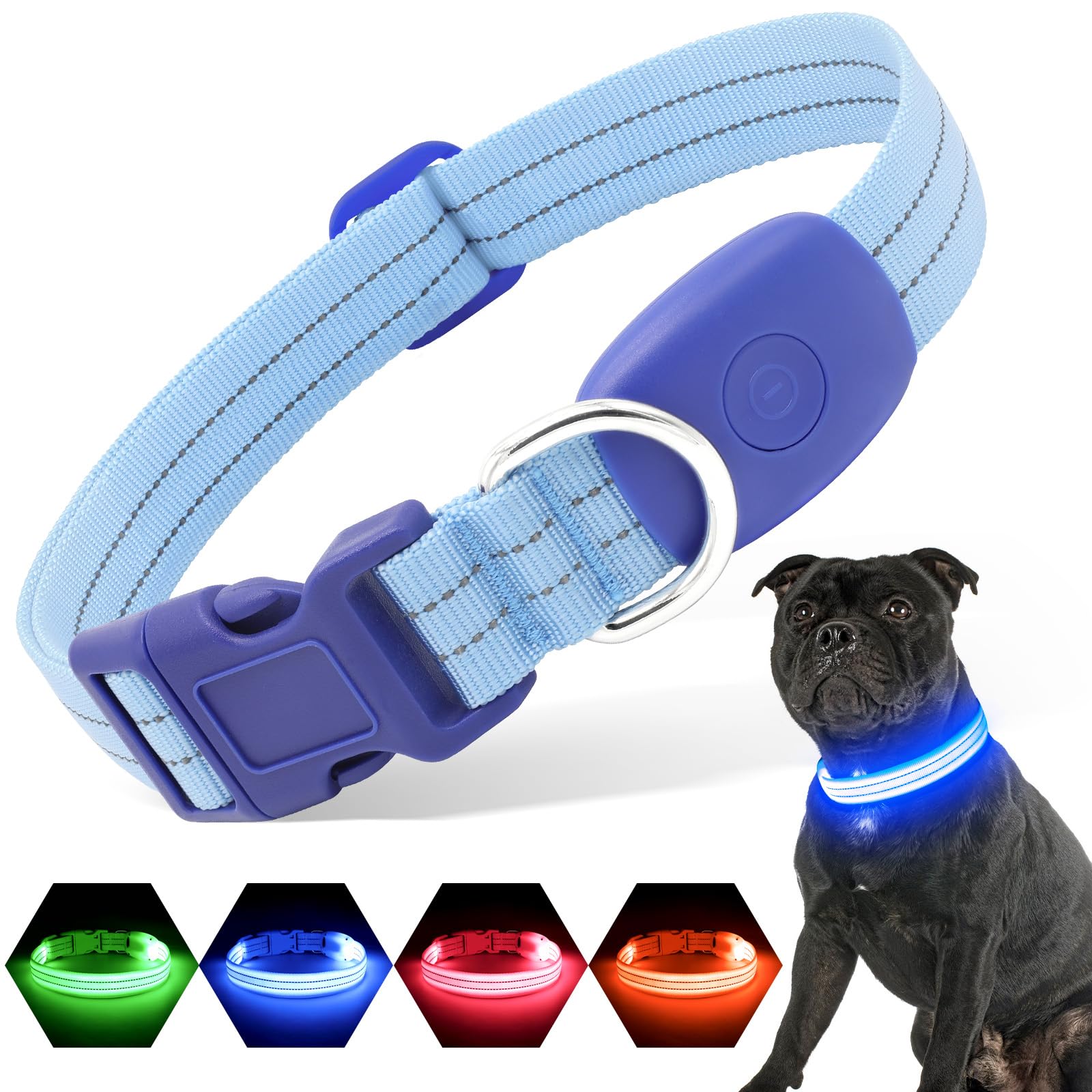PZRLit light-up dog collar blue on dog; enhances nighttime visibility for safe walks.