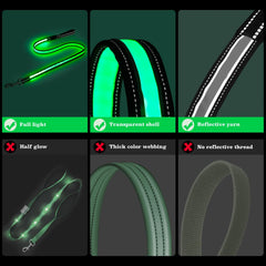 PZRLit light up dog leash reflective threading boosts visibility from all directions at dusk.