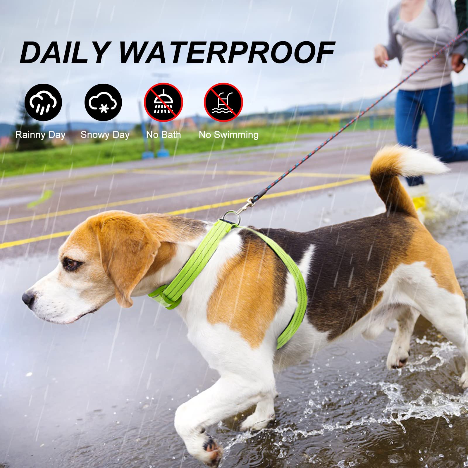 PZRLit light up dog vest night walk scene in green demonstrates safety and comfort.