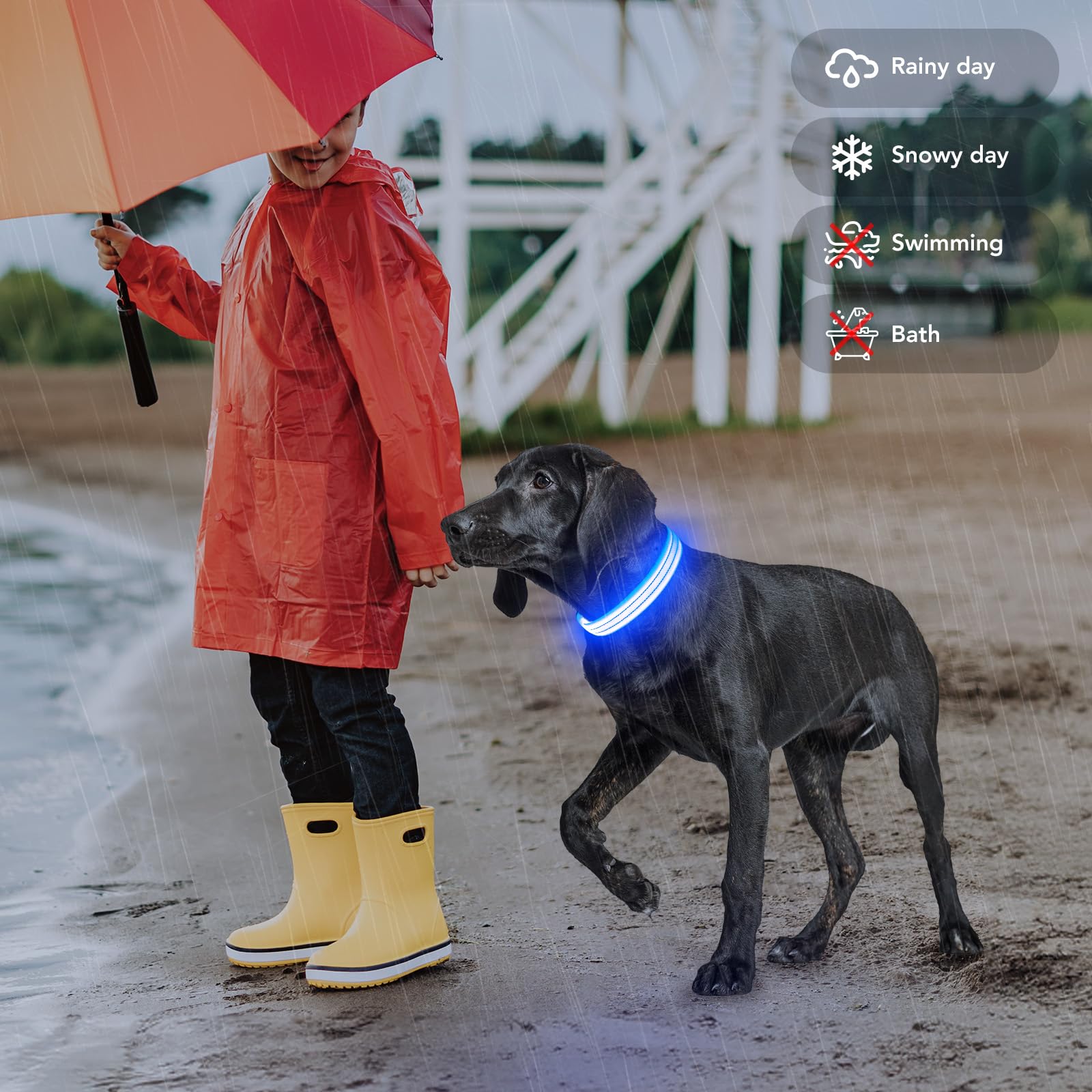 PZRLit reflective dog collar blue safety features for night visibility.