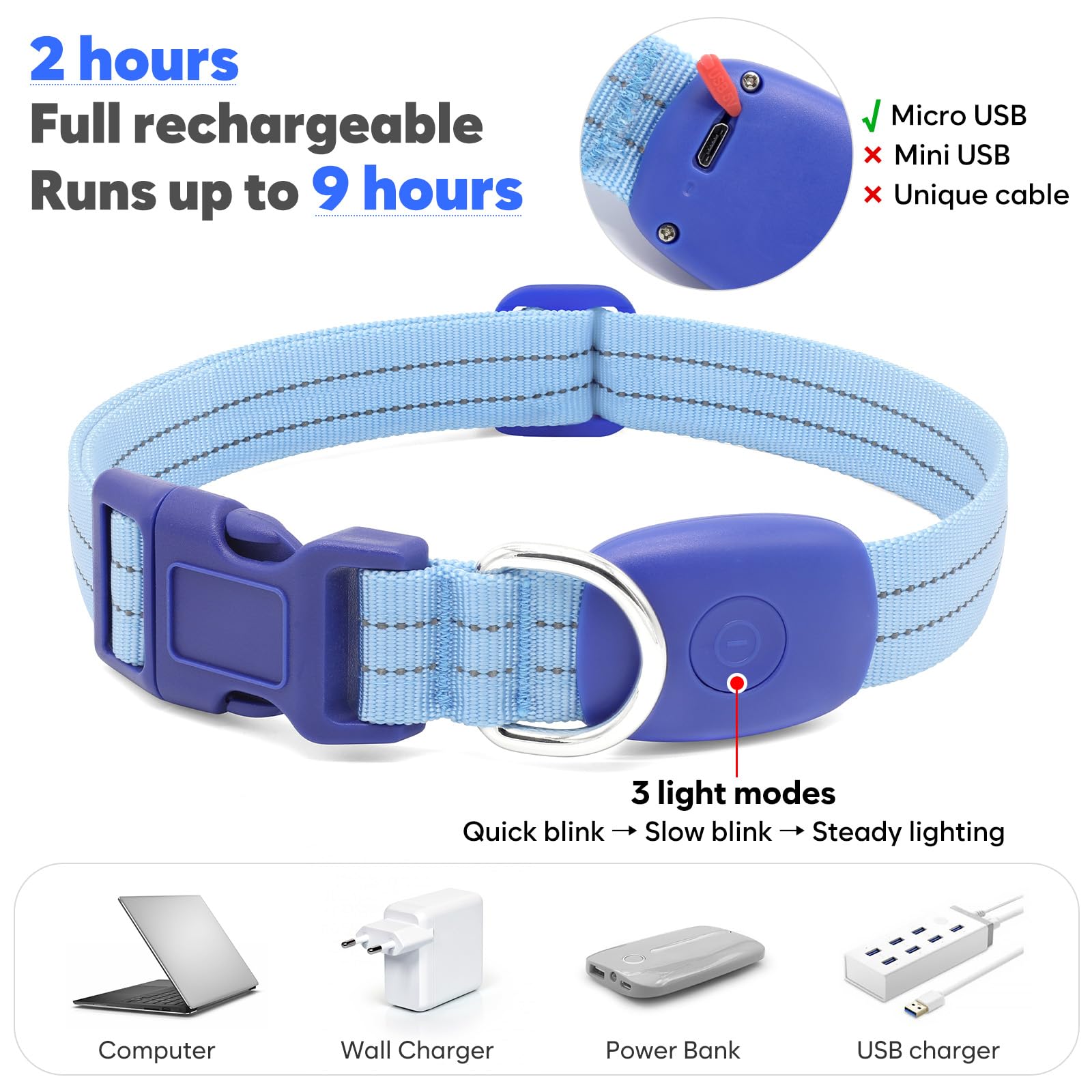 PZRLit waterproof LED dog collar blue visible in rain and wet weather.