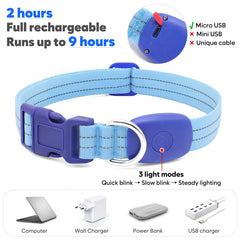 PZRLit waterproof LED dog collar blue visible in rain and wet weather.