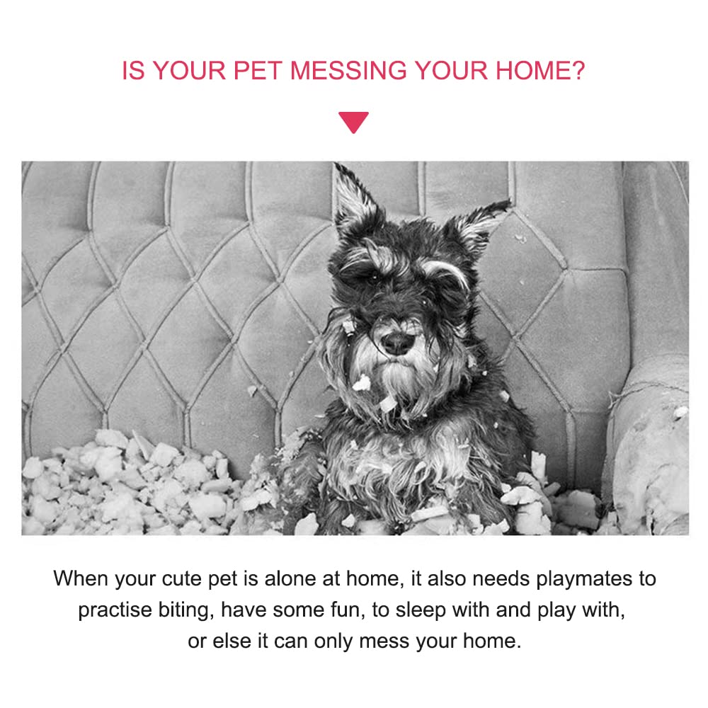 Q.Y.HOME squeaky plush dog toy teeth-cleaning demo promotes routine chewing