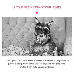 Q.Y.HOME squeaky plush dog toy teeth-cleaning demo promotes routine chewing