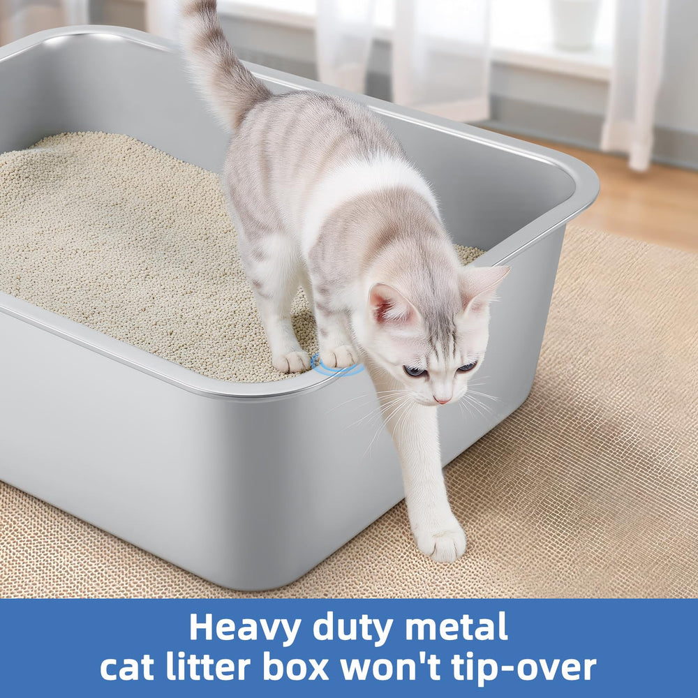 Qaestfy litter pan inside space illustrates roomy interior for multiple cats.