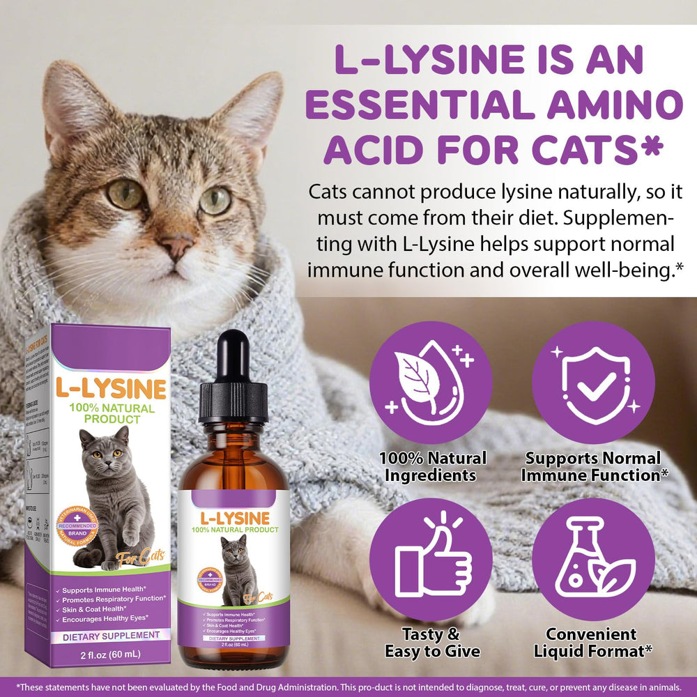 QAJCCXM L-Lysine Drops precise-dosing aids consistent administration.