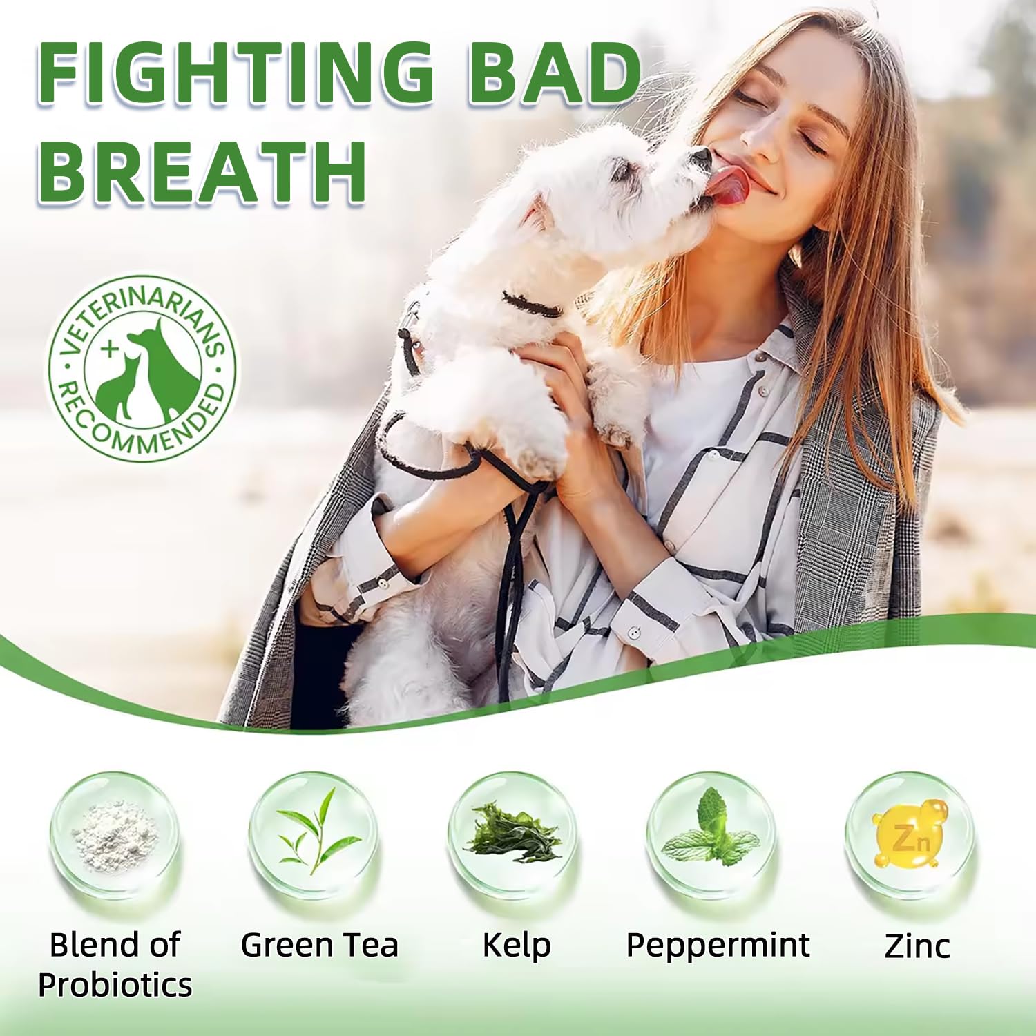 Qanbokey breath-freshener powder showing mint and green tea benefits