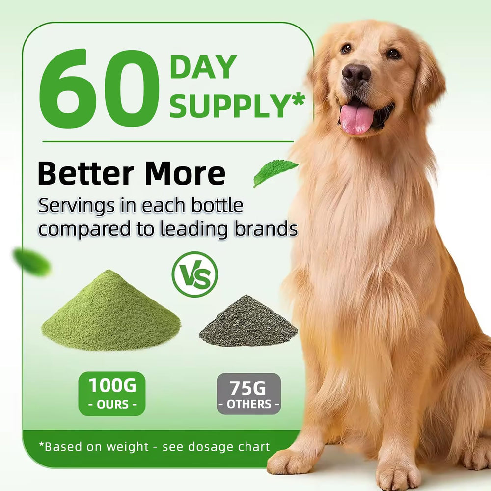 Qanbokey dental powder being stirred into dog meals for convenience