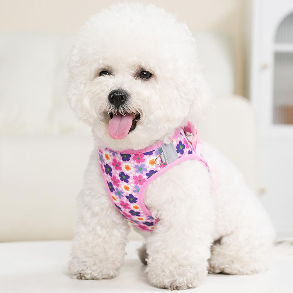 QAORD XXS dog harness pink Velcro close-up shows secure triple-closure