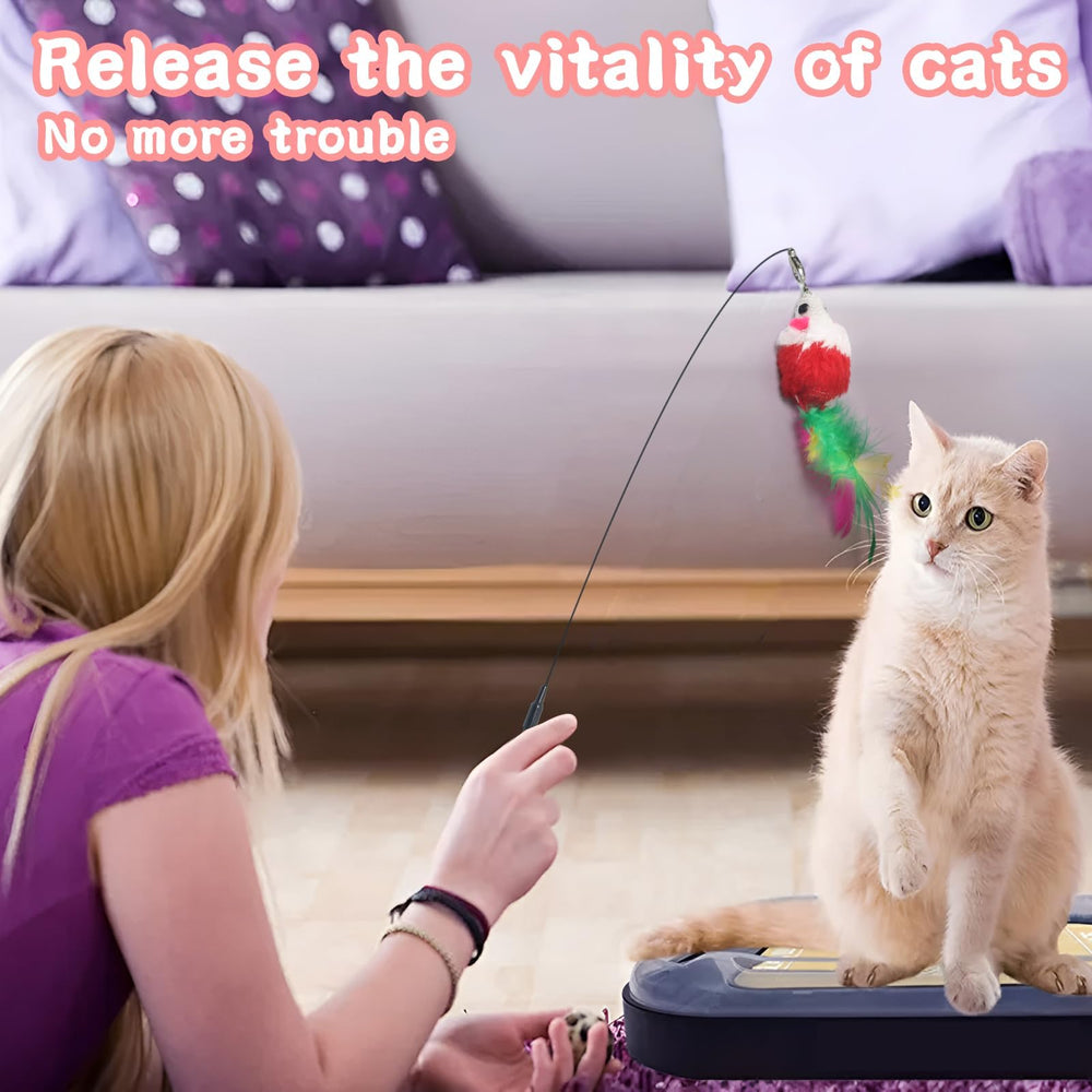 QAWRZZPR 4-in-1 cat toy suction cup base ensures strong, hands-free sessions on smooth surfaces