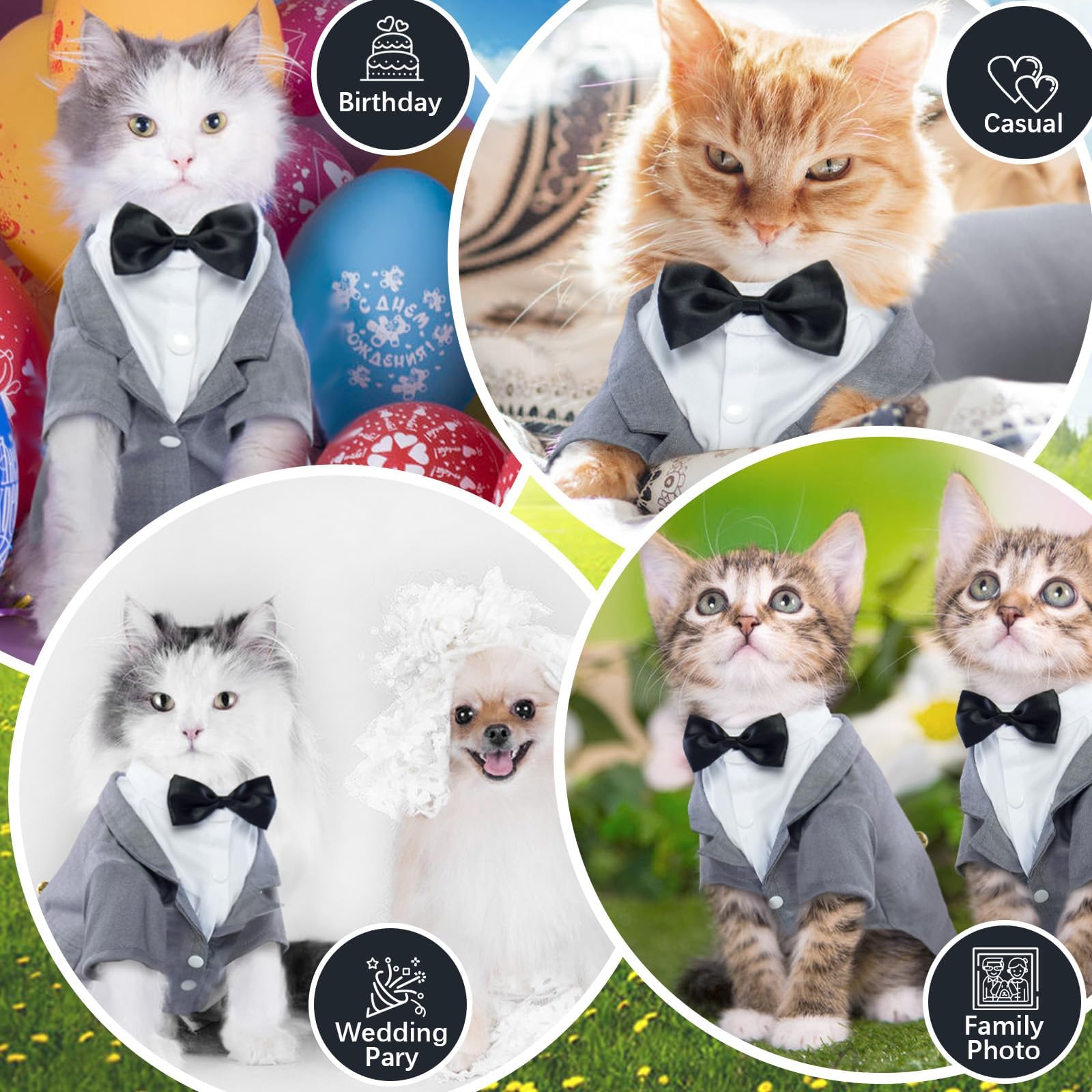 QBLEEV Cat Tuxedo Photo-ready look perfect for weddings and holidays.