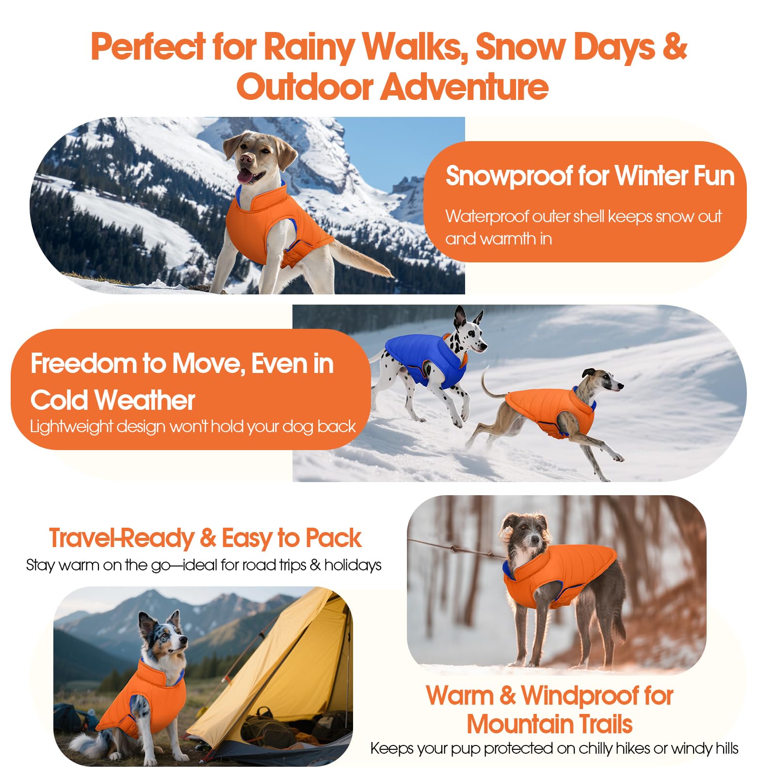 QBLEEV dog coat with leash hole for harness compatibility during walks