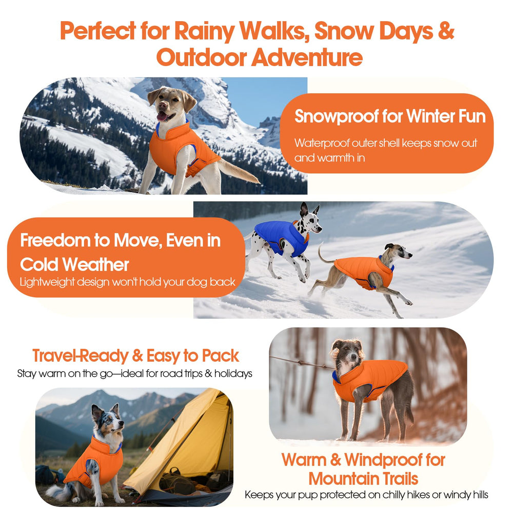 QBLEEV dog coat with leash hole for harness compatibility during walks