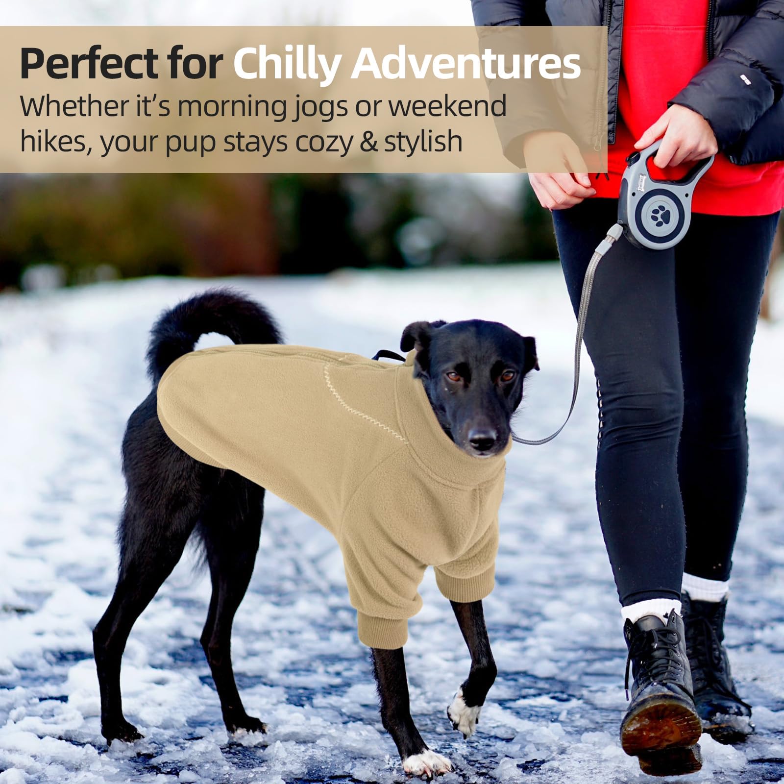 QBLEEV dog hoodie size range demonstrates fit for XS through 3XL dogs.