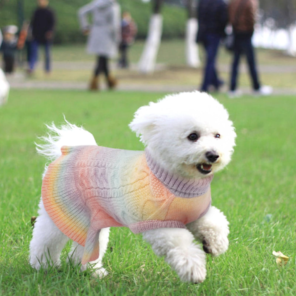 QBLEEV dog sweater dress on dachshund posing showcases holiday readiness