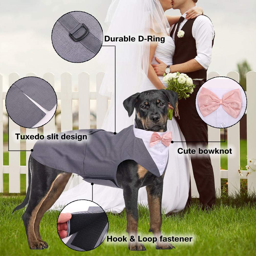 QBLEEV back leash-ring detail helps control in crowds.