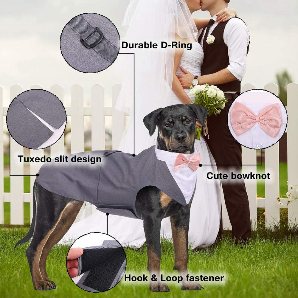 QBLEEV back leash-ring detail helps control in crowds.