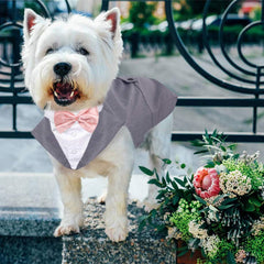 QBLEEV bow-tie detail adds refined formal flair.