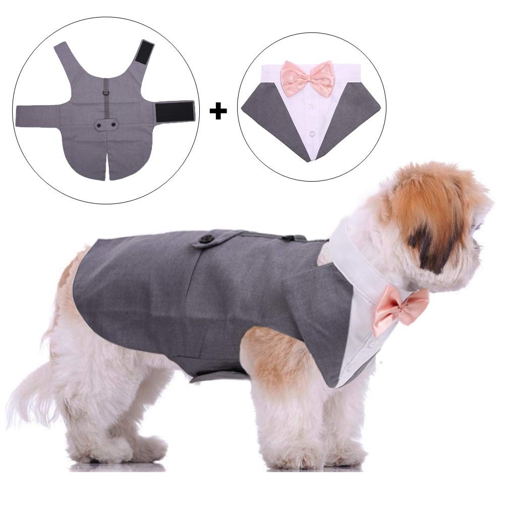 QBLEEV grey 2XL tuxedo on dog for confident comfort.