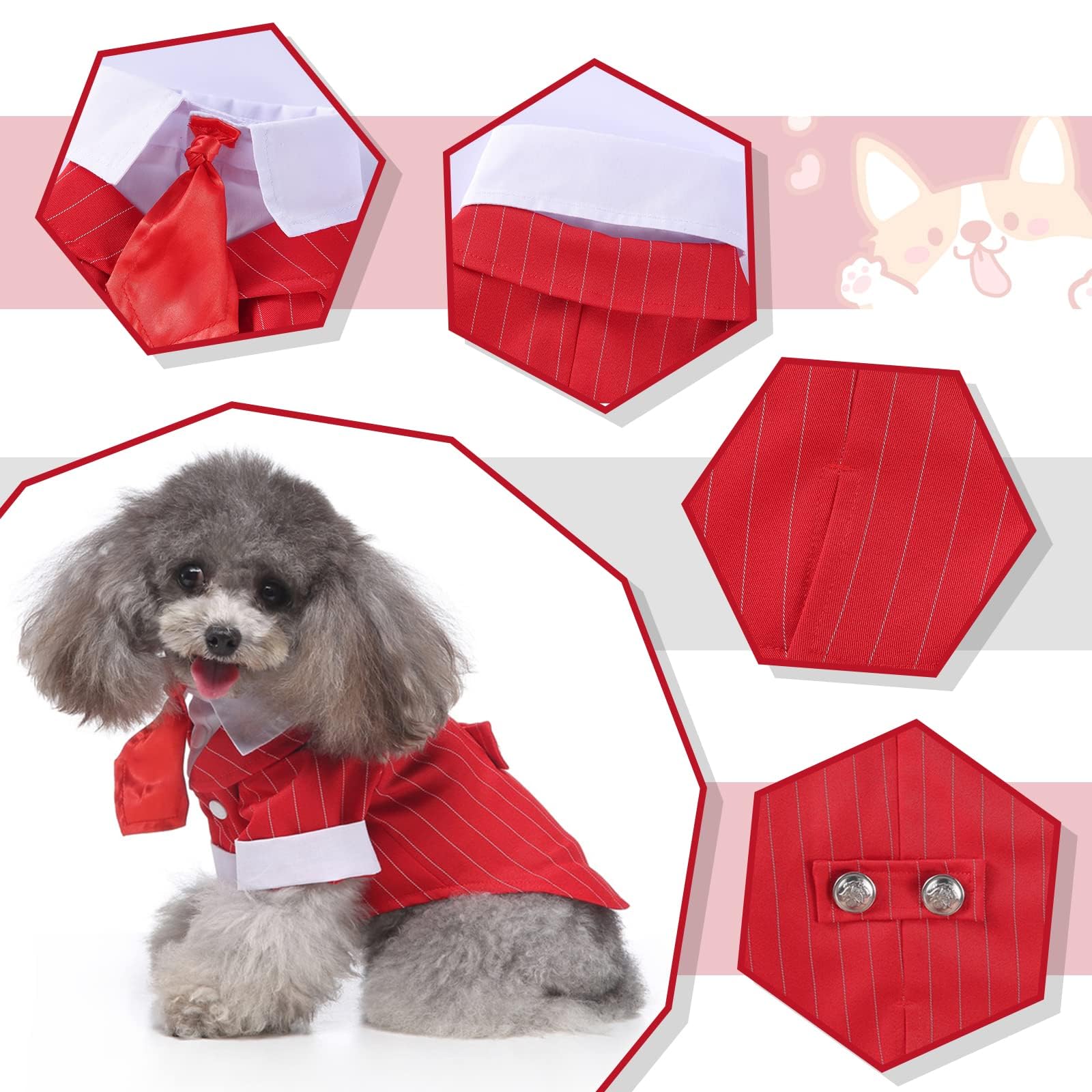QBLEEV dog tuxedo tailoring detail highlighting buttons and chic silhouette