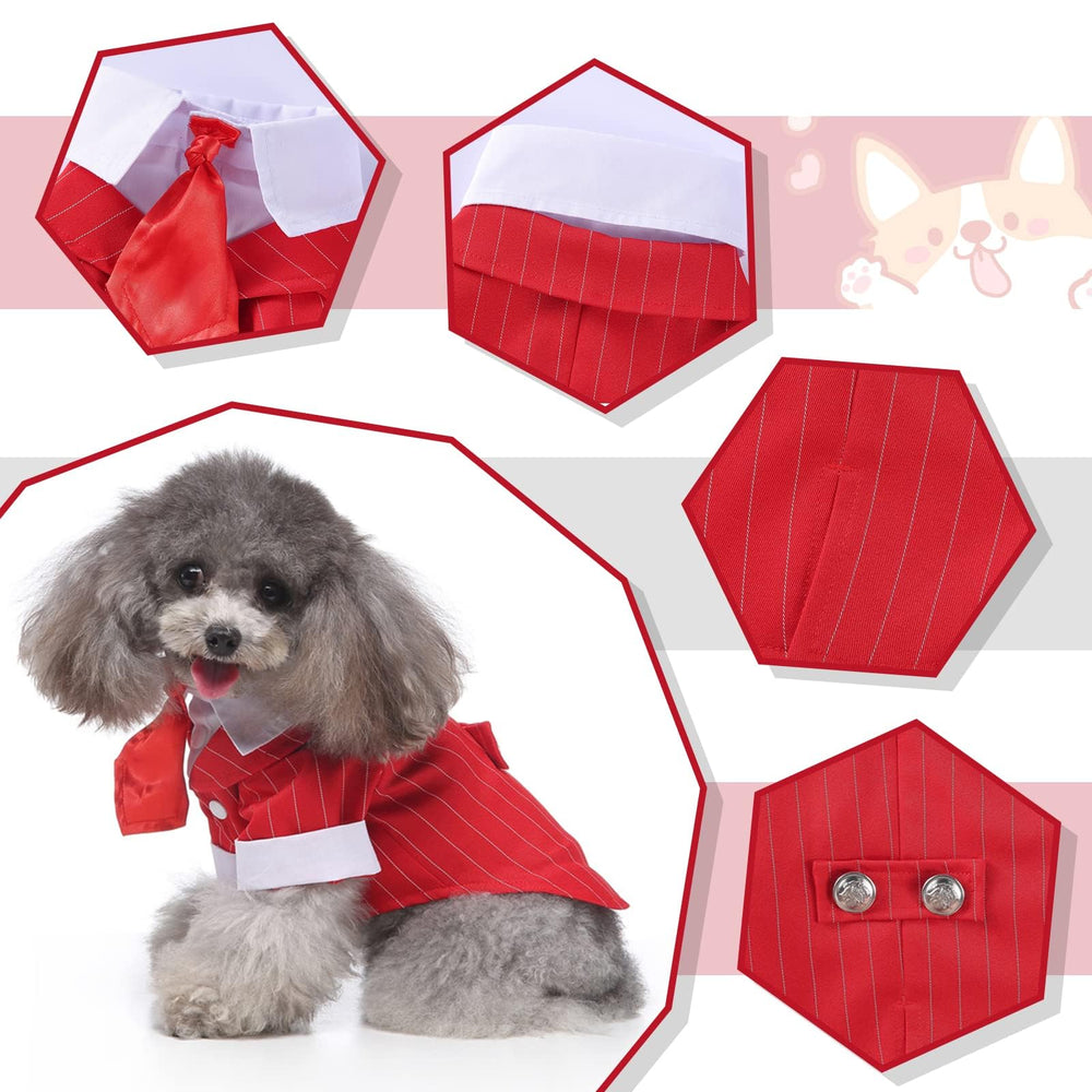 QBLEEV dog tuxedo tailoring detail highlighting buttons and chic silhouette