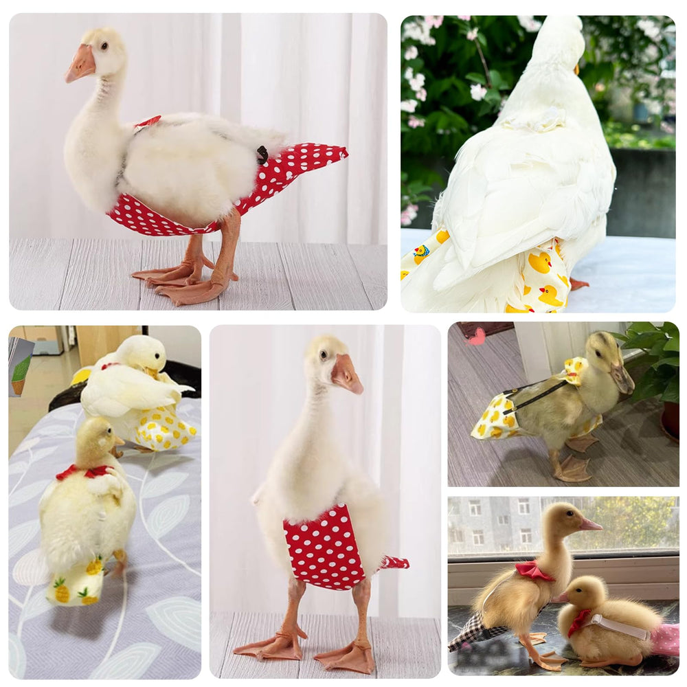 QBLEEV duck diapers support indoor care and gentle movement for active birds.