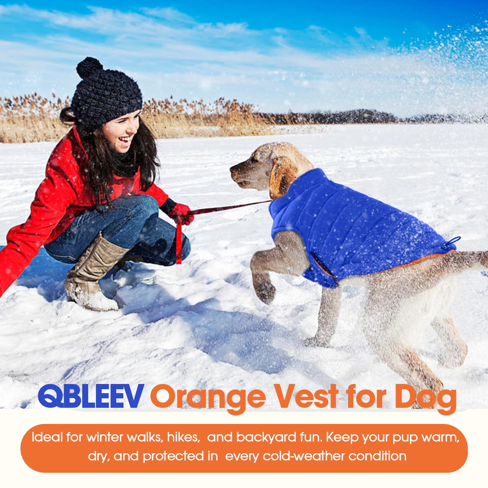 QBLEEV versatile sizes XS–3XL, find the right fit for small to large dogs
