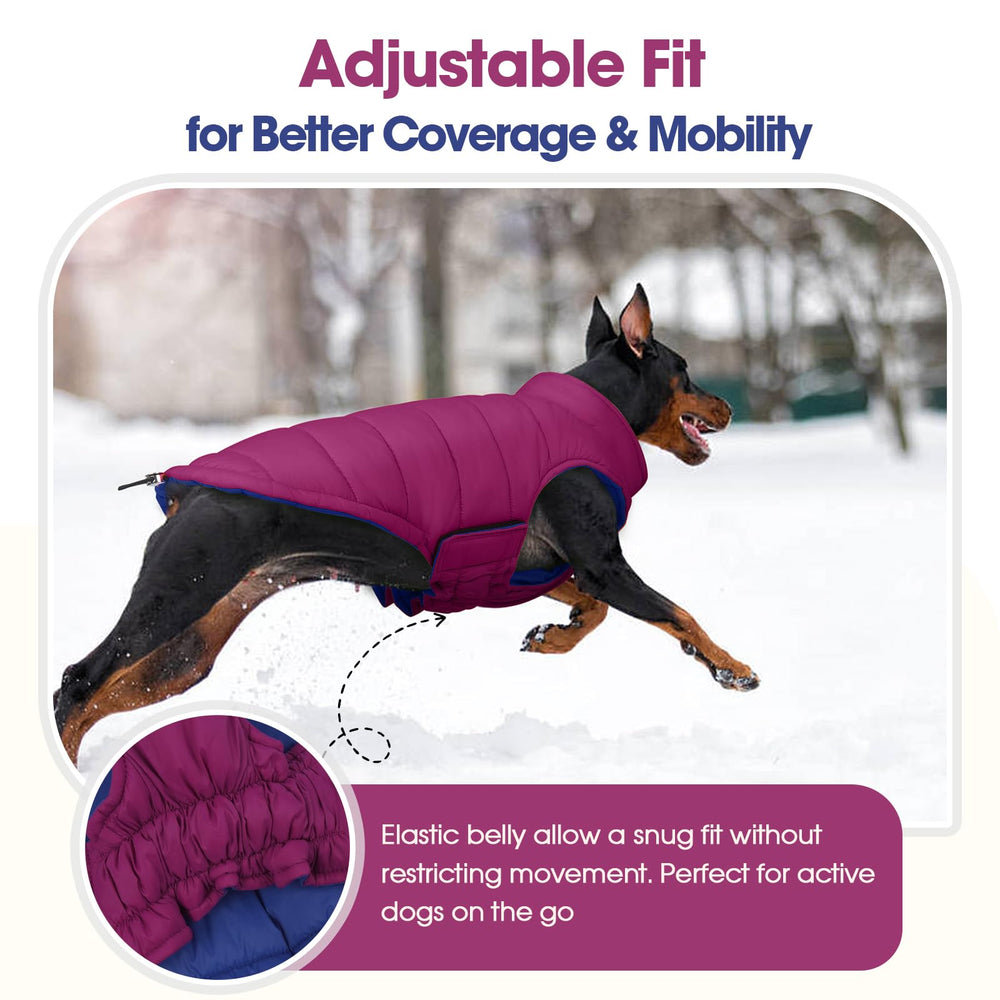 QBLEEV lightweight puffer keeps warmth without bulk for active dogs