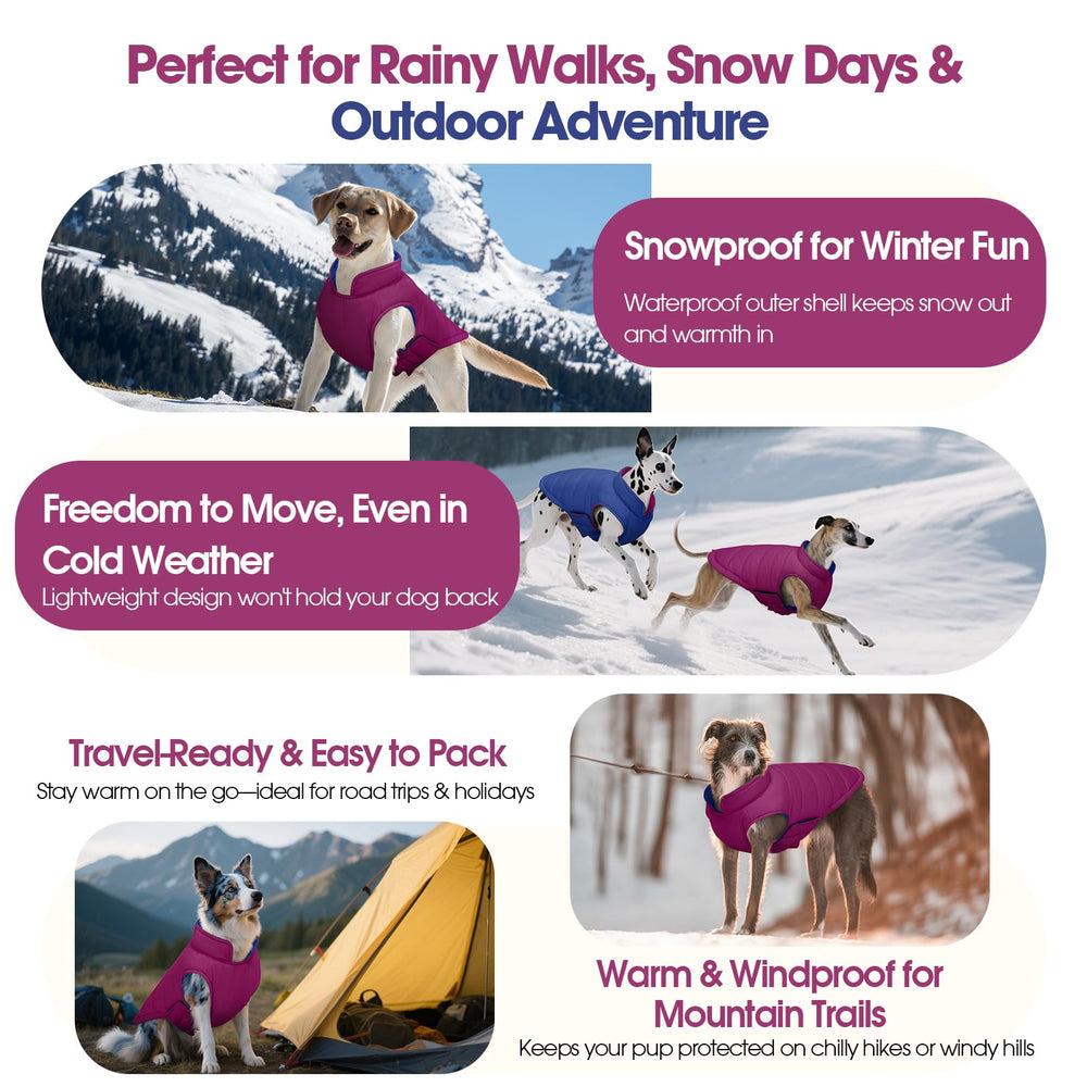 QBLEEV size range XS–3XL covers many breeds and body shapes