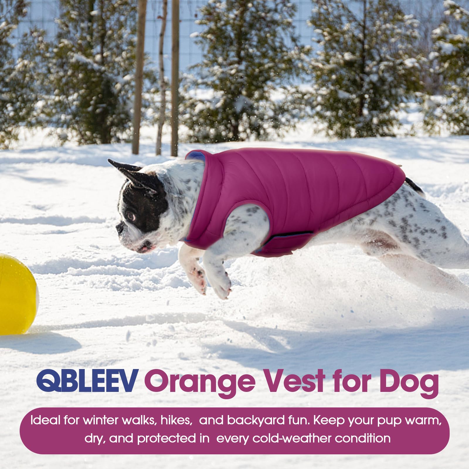 QBLEEV purple XL dog coat fits large breeds like pitbull or boxer