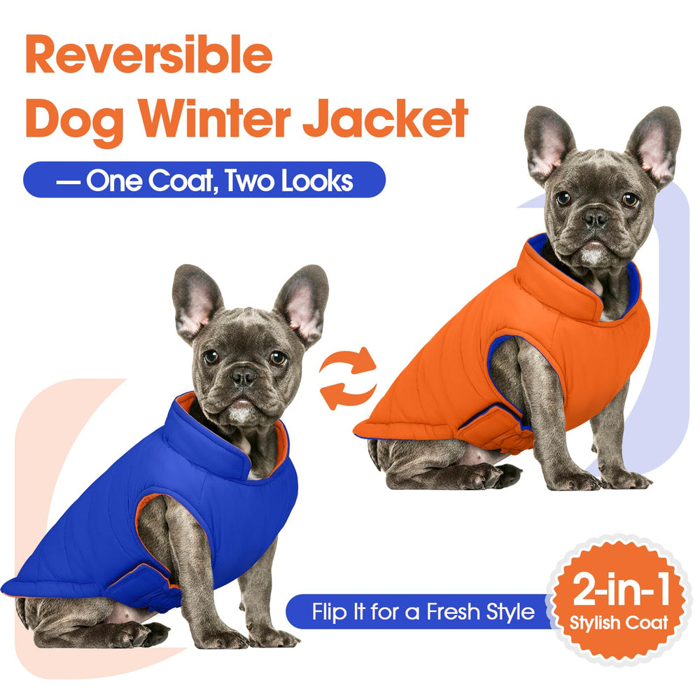 QBLEEV reversible dog coat orange back view, adapt to mood and environment