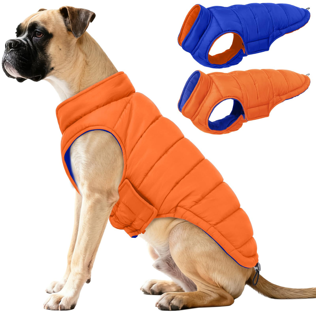 QBLEEV reversible dog coat orange front view, two-tone warmth for daily walks