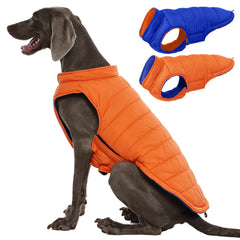 QBLEEV reversible dog jacket orange XL front view with weather-ready protection.