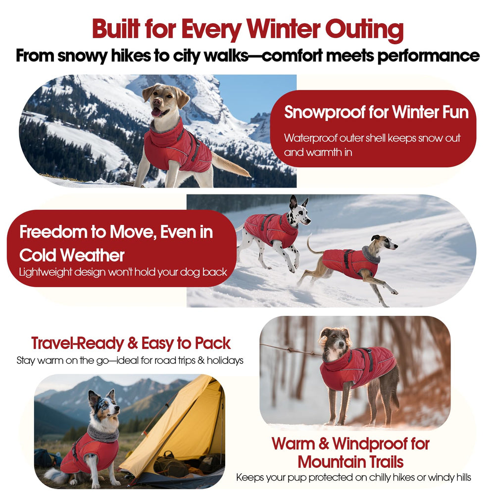 QBLEEV Warm Dog Jacket offers six sizes to fit a wide range of breeds