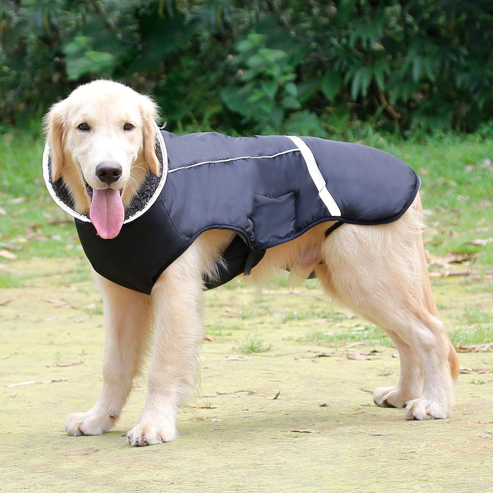 QBLEEV Warm Reflective Dog Jacket waterproof nylon exterior for wet-weather outings.
