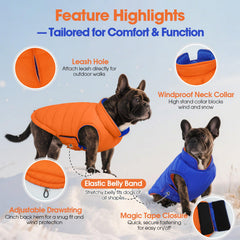 QBLEEV waterproof windproof dog coat, snow ready protection during outdoor adventures