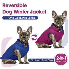 QBLEEV waterproof windproof fabric keeps dogs dry during rainy walks