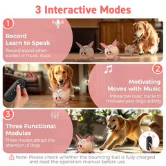 QDAN dog soccer ball with nylon straps ready for fetch and tug