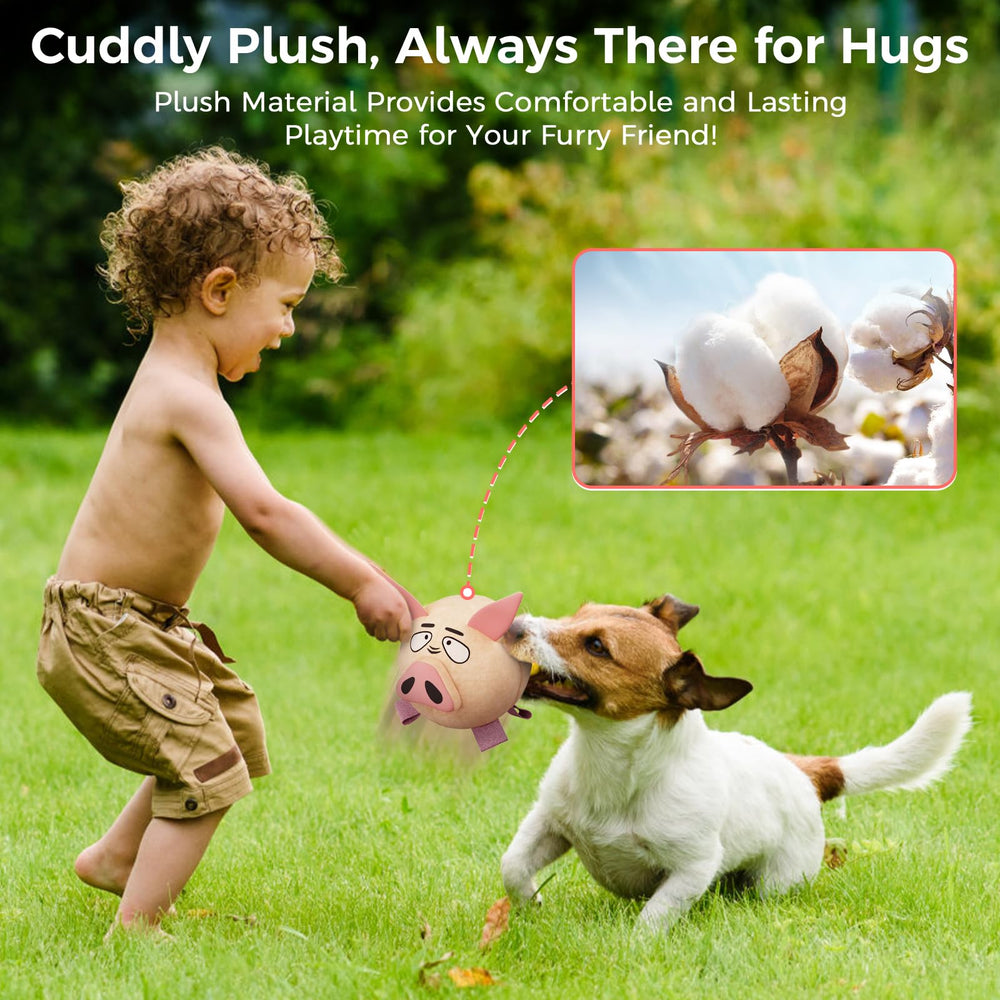 QDAN dog toy showing recording and music modes for enrichment