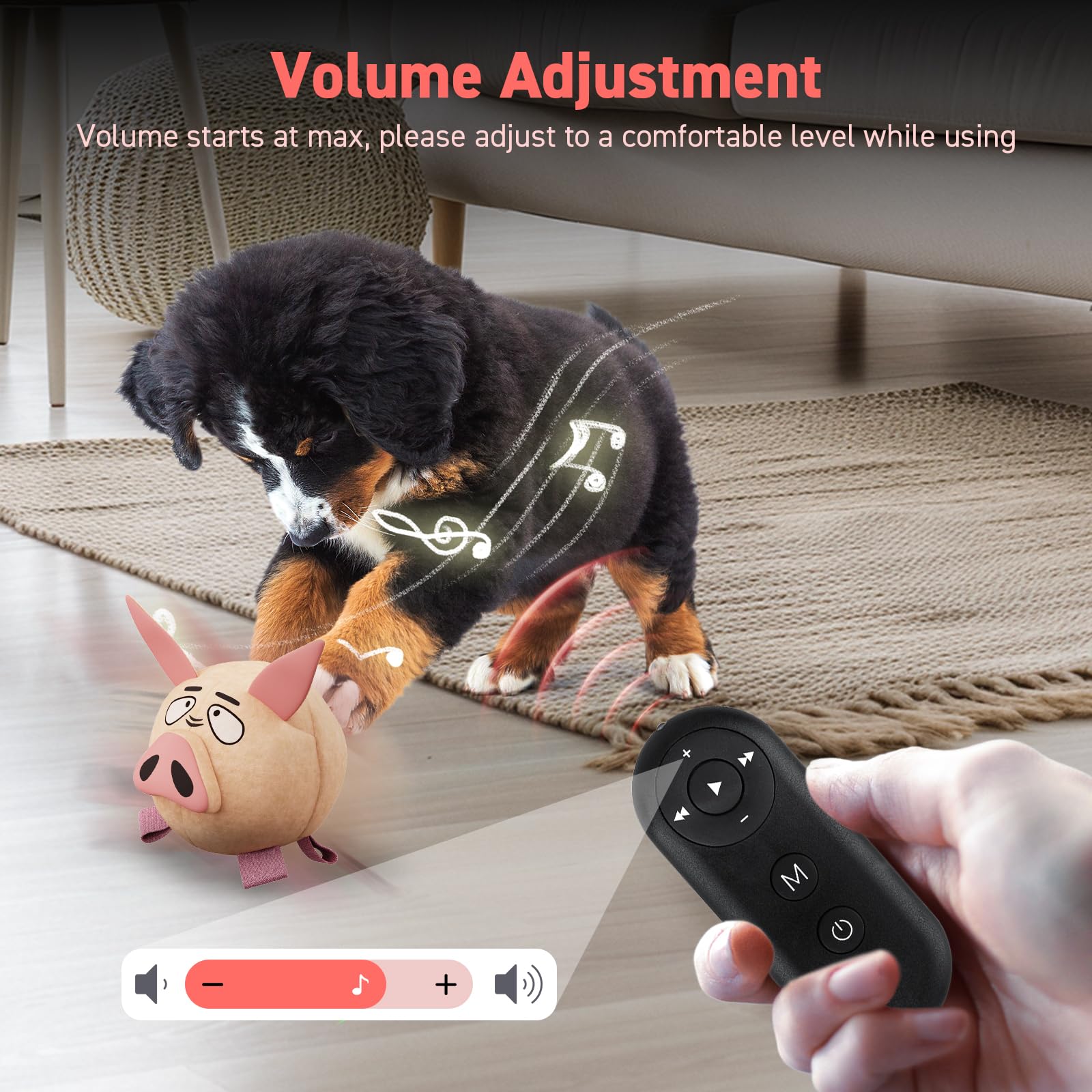 QDAN interactive dog ball controlled by remote for lively play