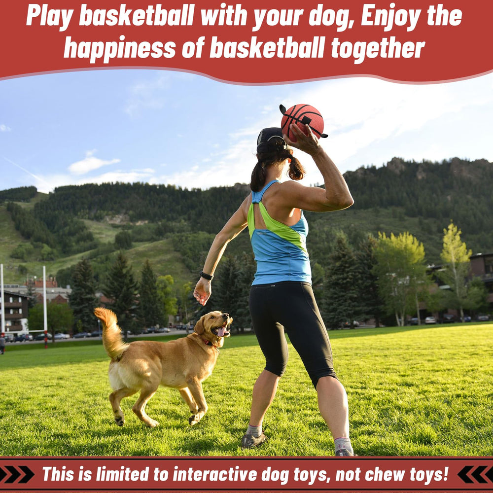 QDAN dog ball in outdoor play by park or beach setting