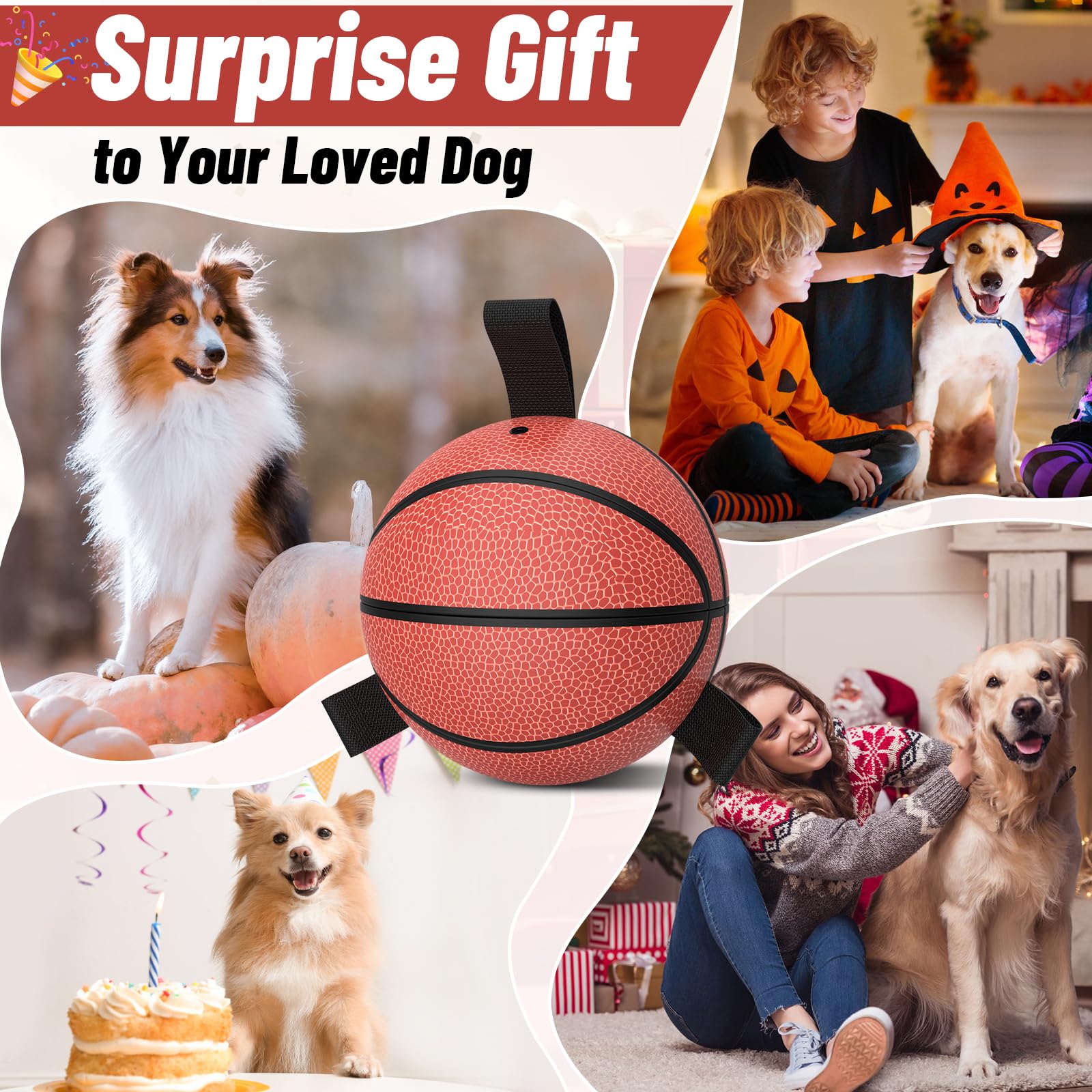 QDAN dog ball with straps for training, unpredictable bounce encourages chasing and engagement