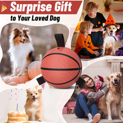 QDAN dog ball with straps for training, unpredictable bounce encourages chasing and engagement