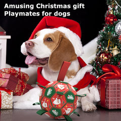 QDAN Christmas dog ball closeup showing festive colors for holiday play.