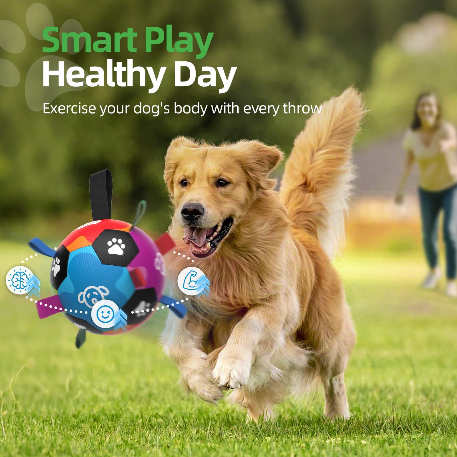 QDAN dog ball for beach and park play with vibrant colors