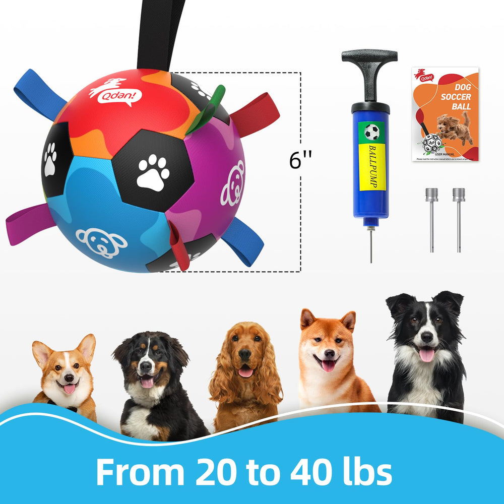 QDAN ball includes air pump and spare needles for quick setup