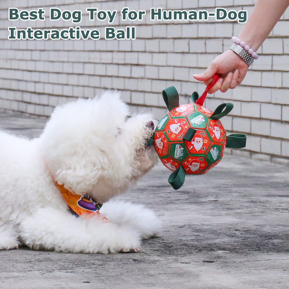 QDAN dog ball outdoor play in yard or park showcases versatile fun.