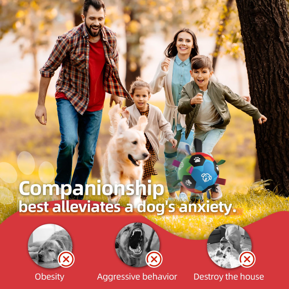 QDAN ball on living room carpet invites varied training and interactive games