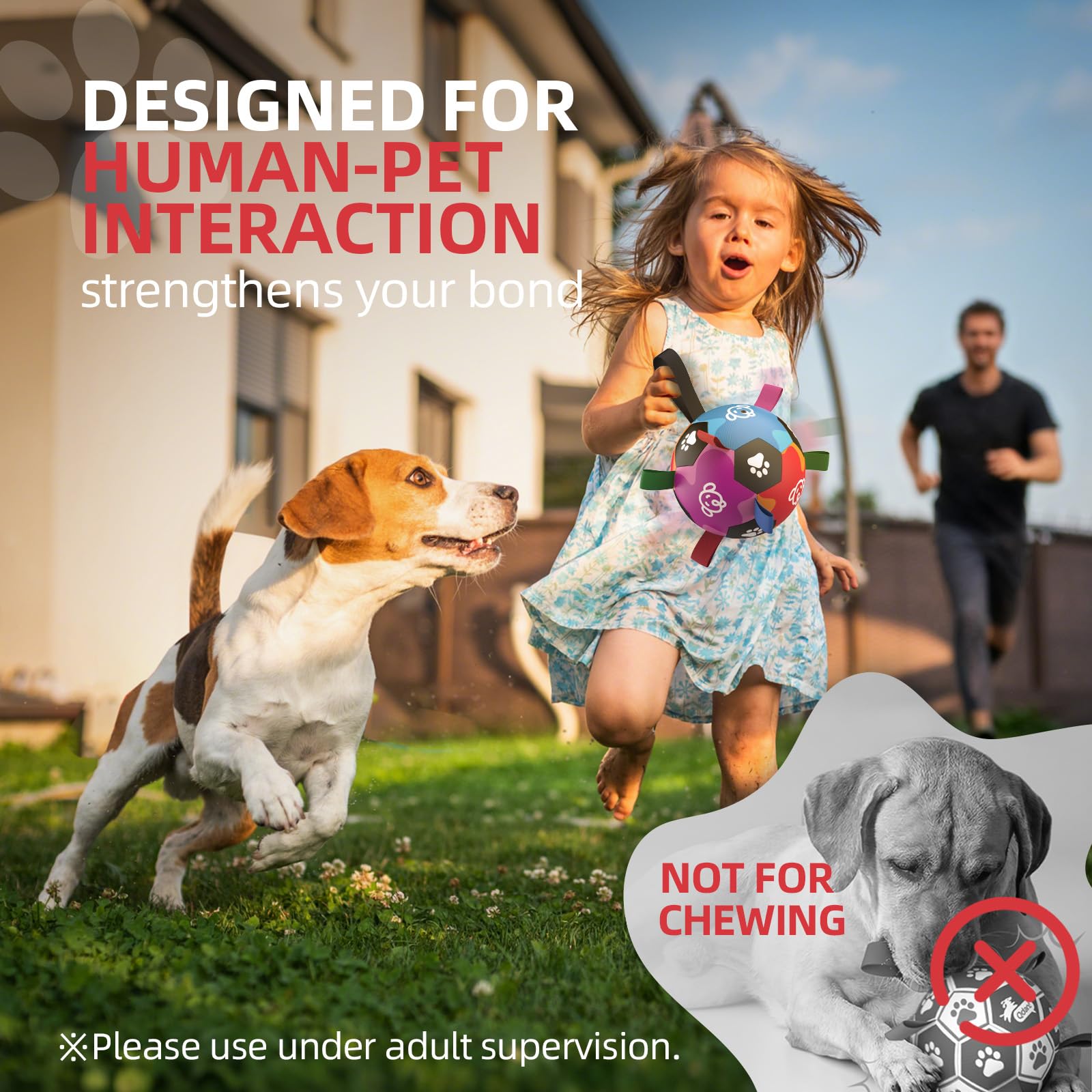 QDAN ball suitable for dogs under 40 lbs and not a chew toy