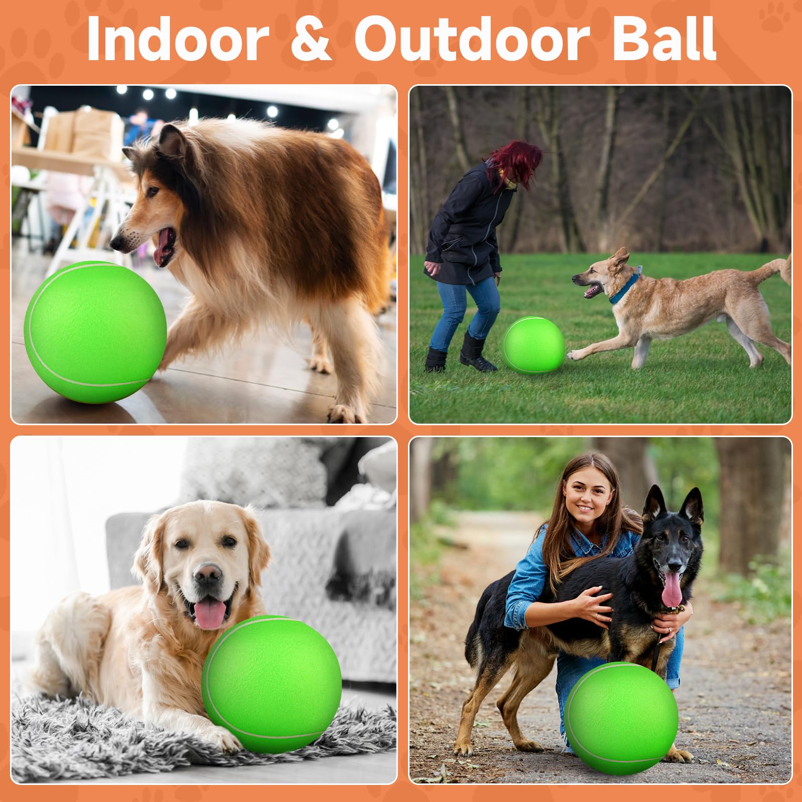 QDAN interactive ball promotes fetch, toss, and tug sessions for daily enrichment.